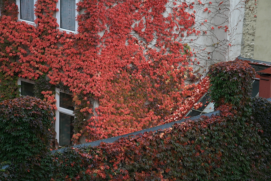 Friday, 17-10-2008 ende