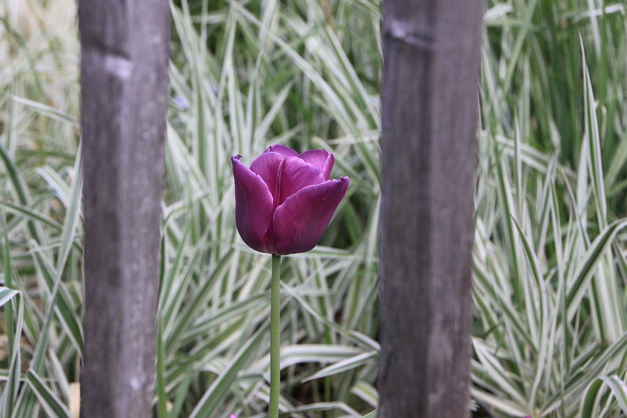 Monday, 20-04-2009 ende