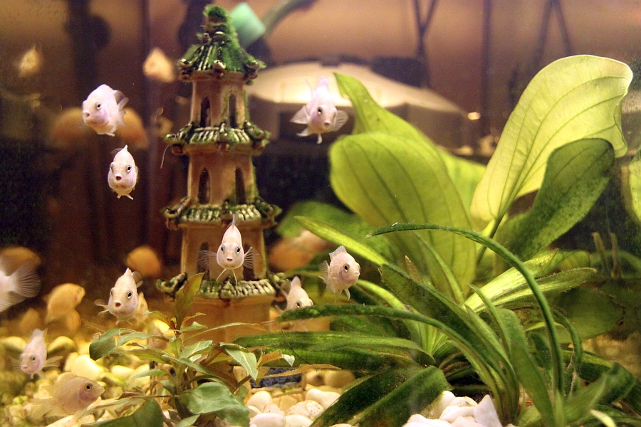 Tuesday, 09-02-2010 ende