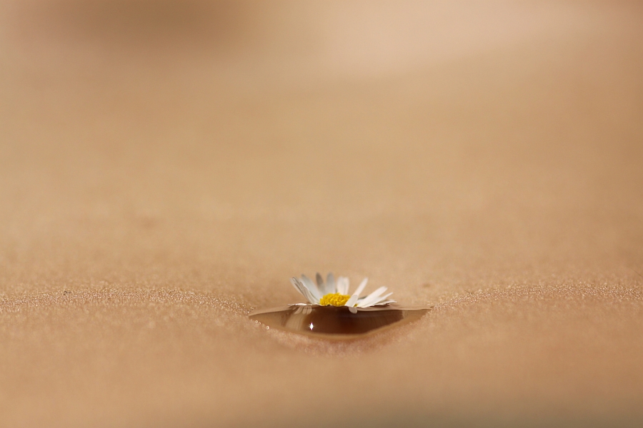 Thursday, 15-07-2010 ende