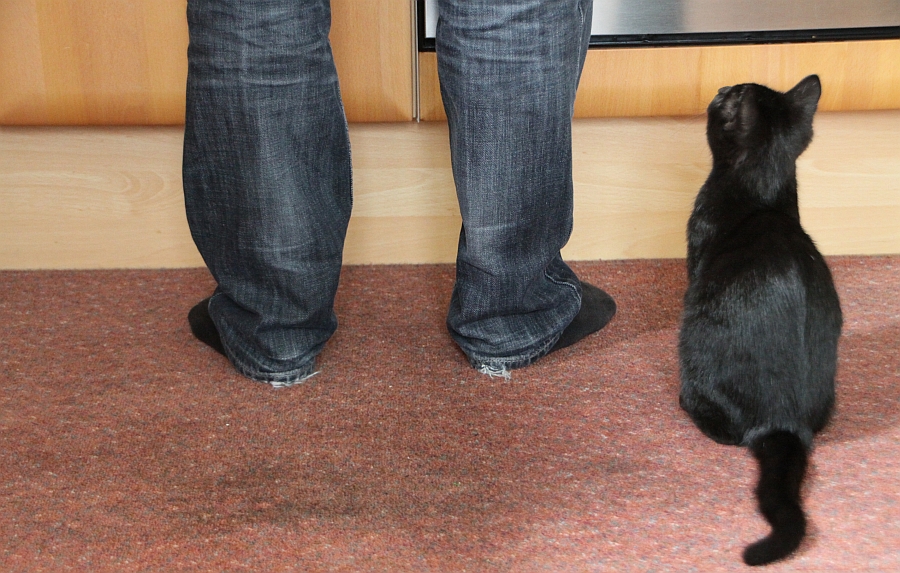 Tuesday, 27-07-2010 ende