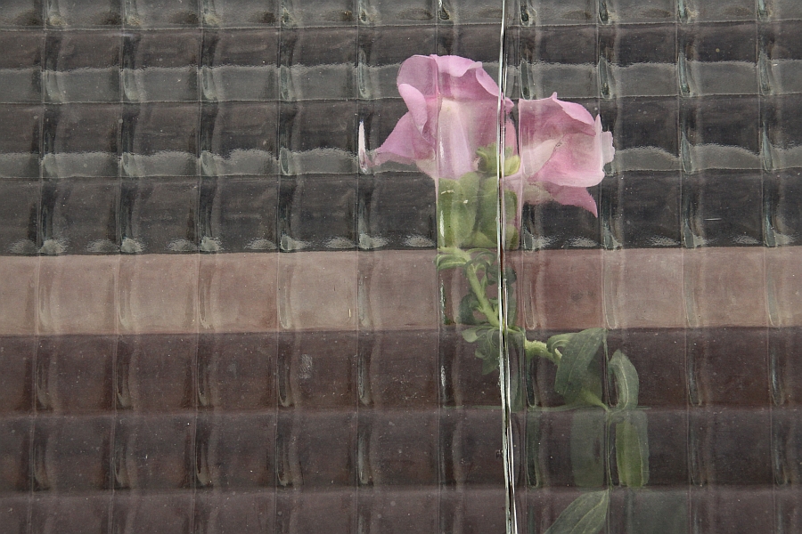 Saturday, 02-10-2010 ende