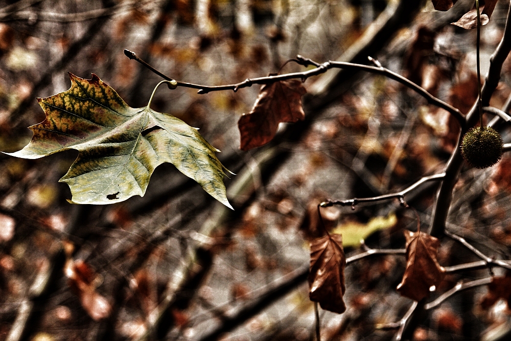 Friday, 22-11-2013 ende