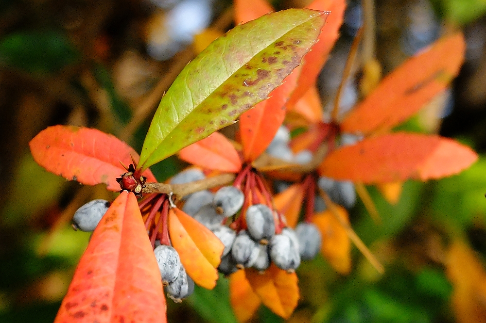 Wednesday, 03-12-2014 ende