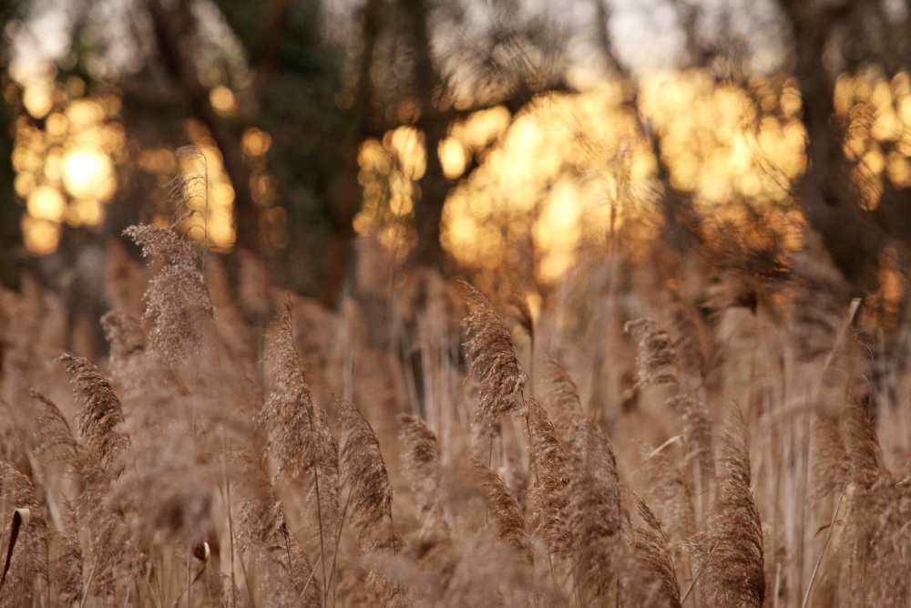 Saturday, 03-01-2015 ende