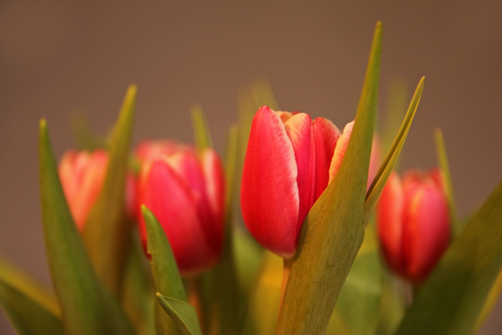 Sunday, 08-02-2015 ende