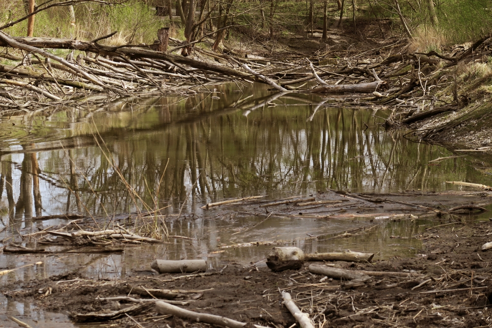 Sunday, 03-04-2016 ende