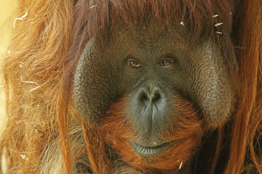 Friday, 15-04-2016 ende