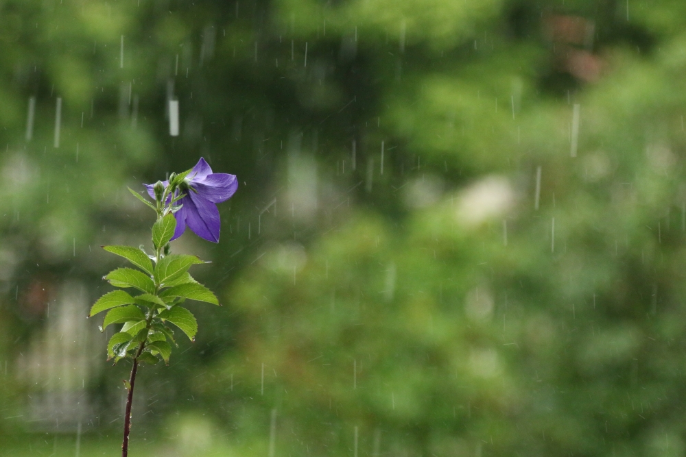 Wednesday, 20-04-2016 ende