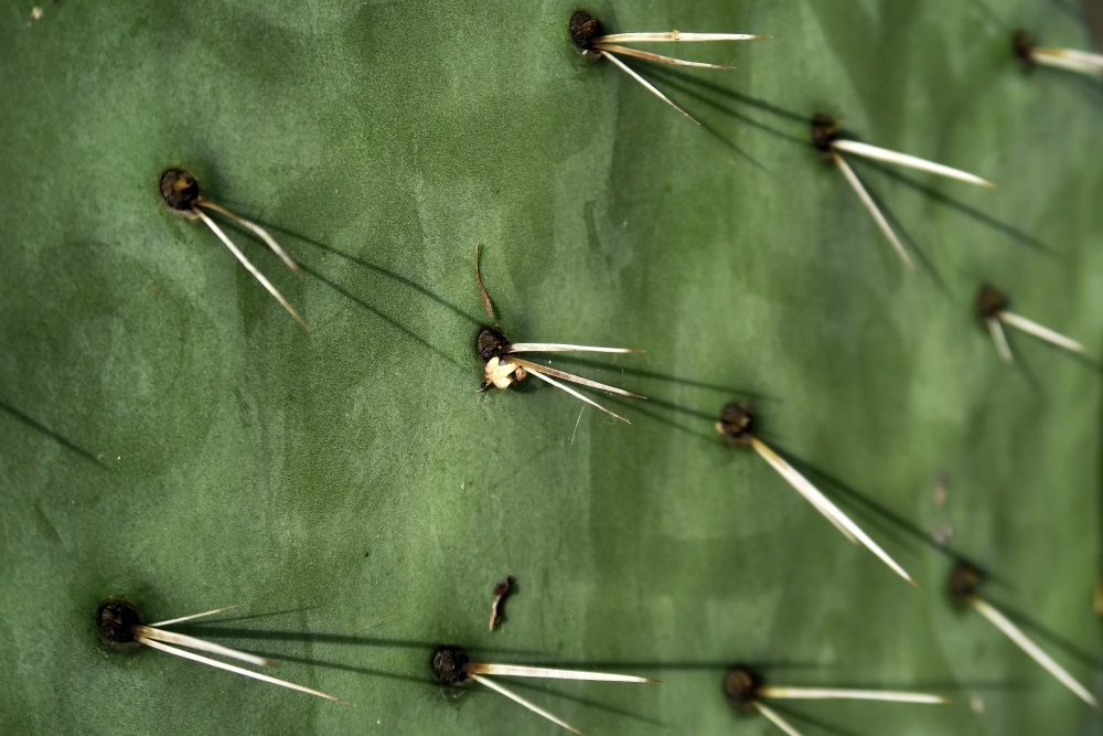 Sunday, 16-10-2016 ende