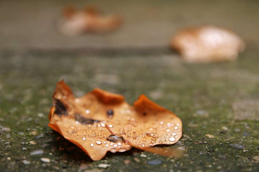 Saturday, 29-10-2016 ende