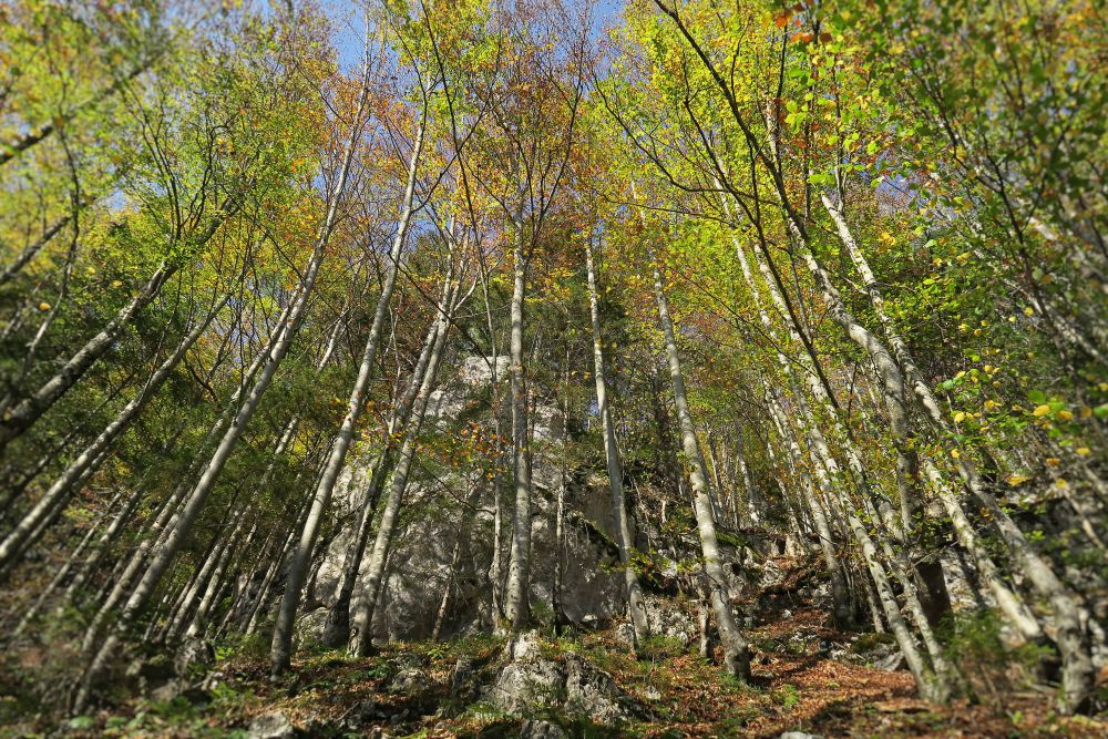 Tuesday, 16-10-2018 ende