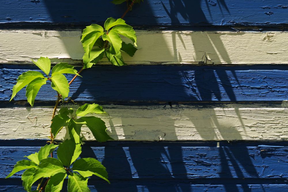 Sunday, 16-06-2019 ende