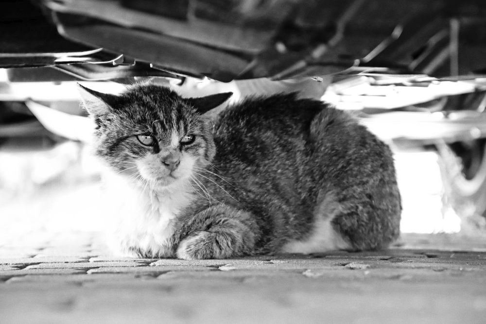 Friday, 10-07-2020 ende