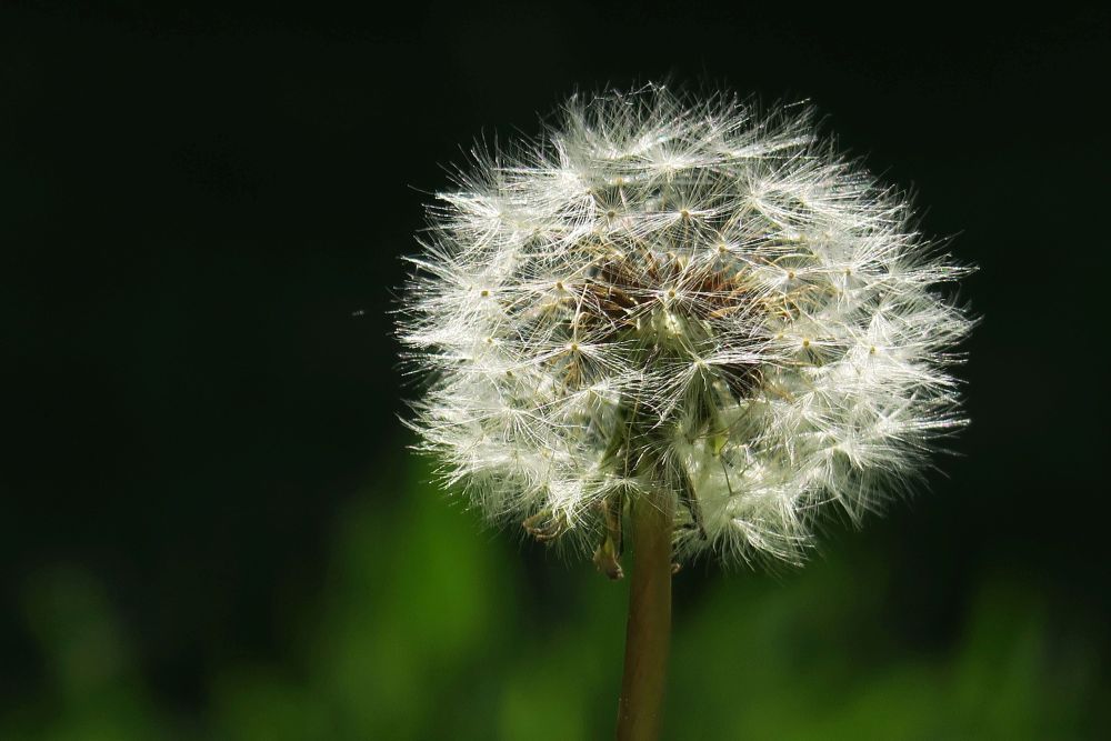 Sunday, 15-05-2022 ende