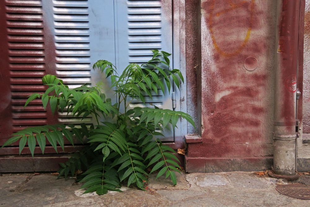 Thursday, 18-08-2022 ende