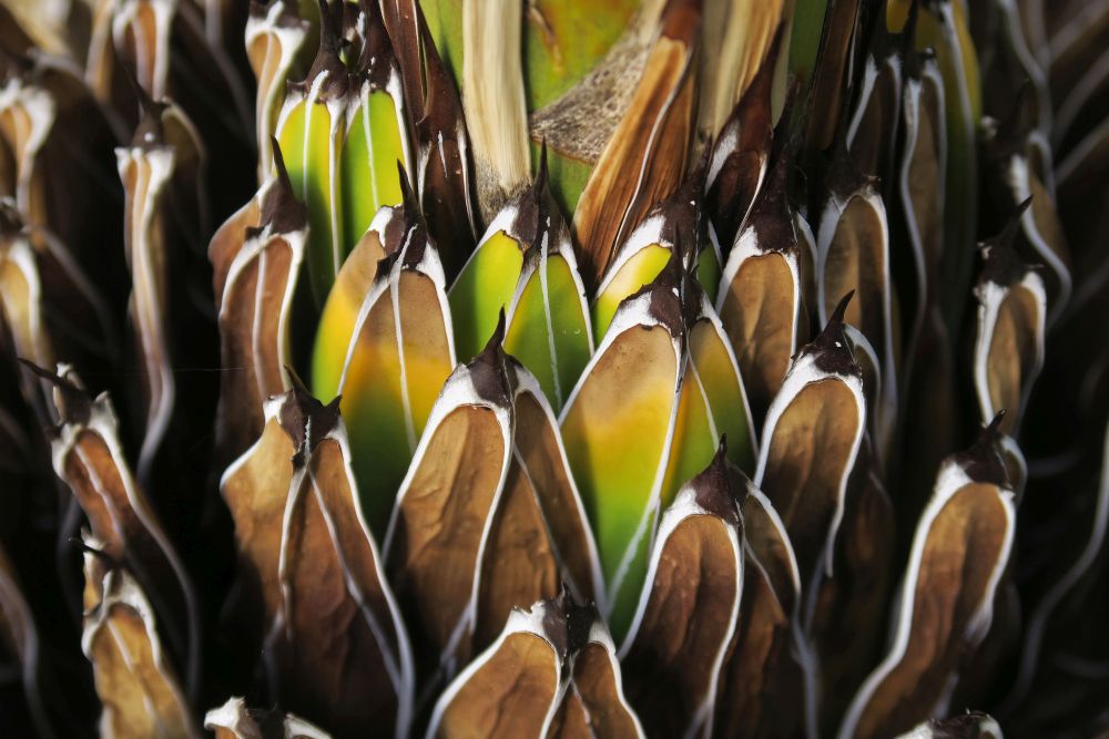 Friday, 09-09-2022 ende