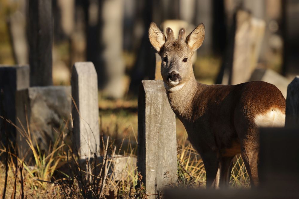 Wednesday, 04-01-2023 ende