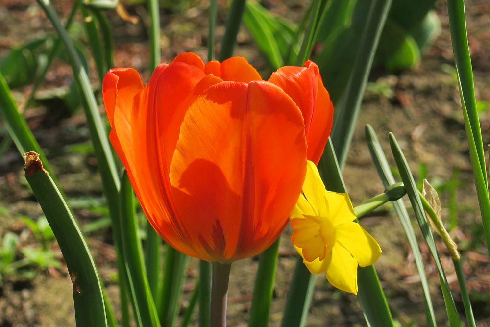 Saturday, 06-04-2024 ende